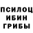 Галлюциногенные грибы GOLDEN TEACHER B.R.O
