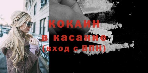 стаф Абаза
