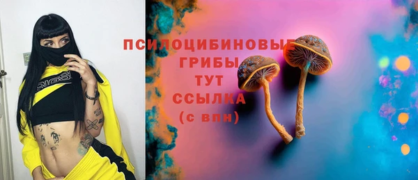 бошки Абинск